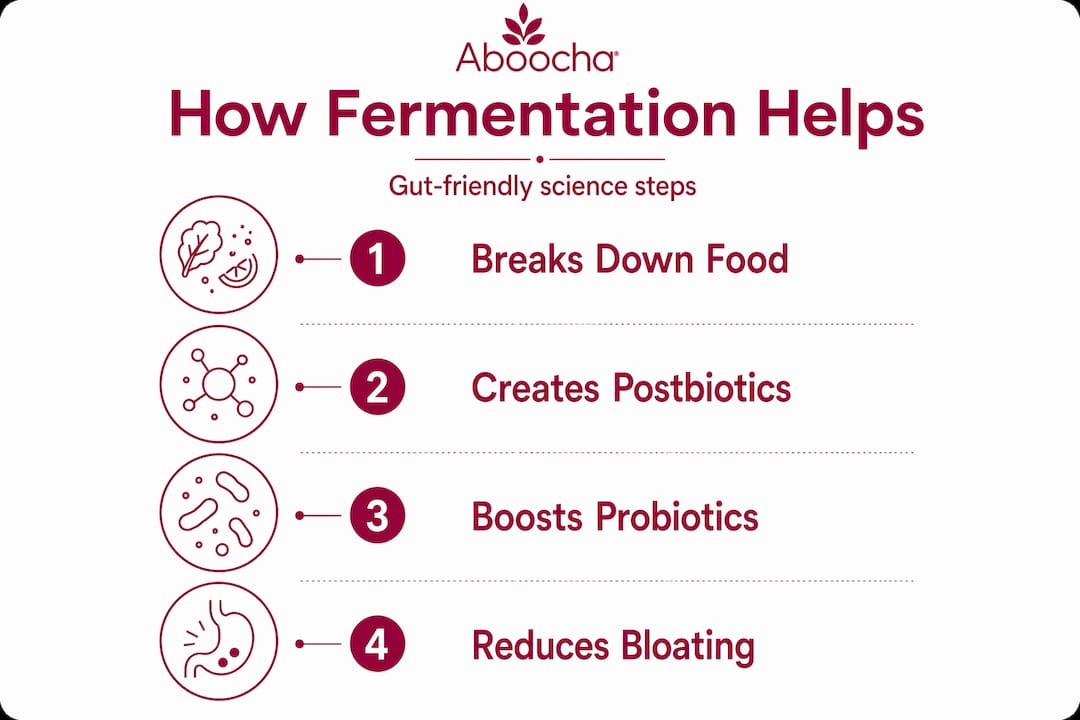 Infographic showing fermentation health benefits