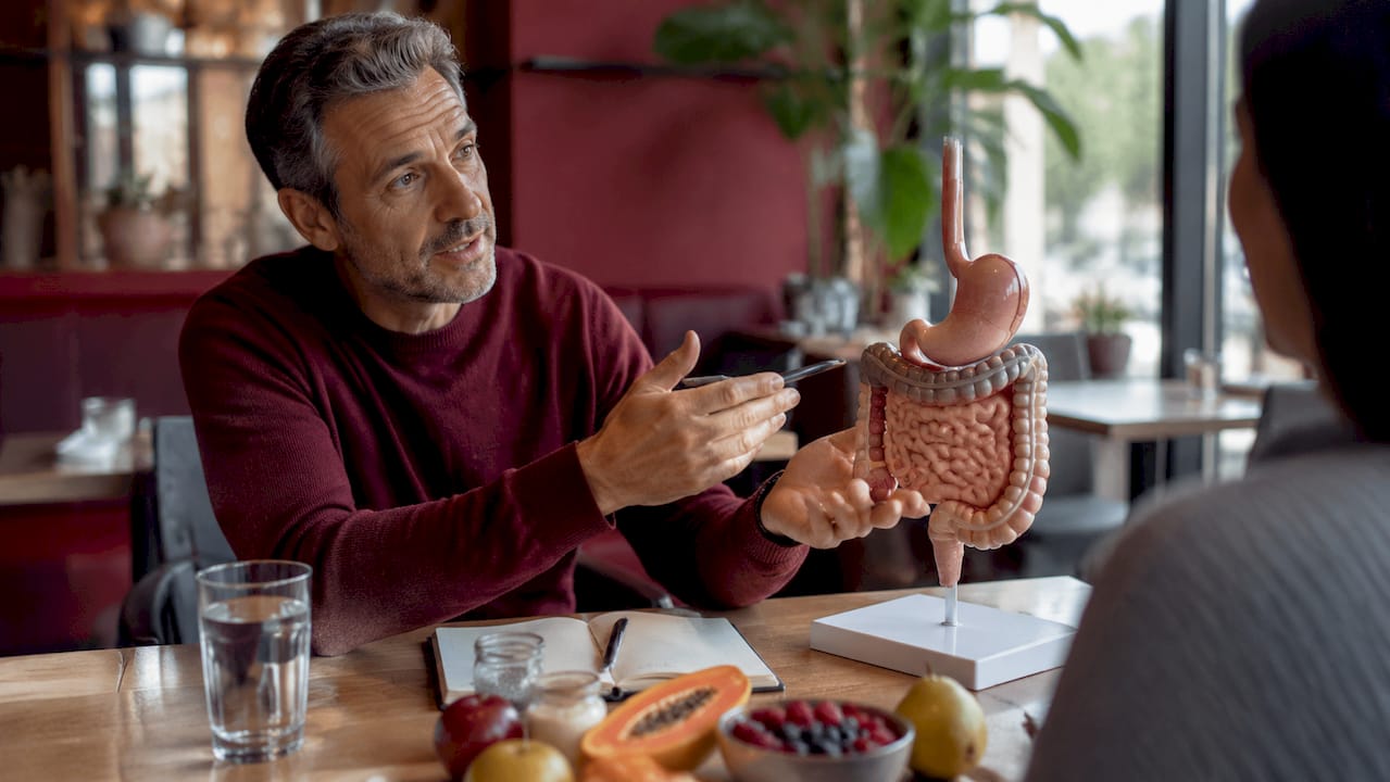Nutritionist explaining probiotics with gut model
