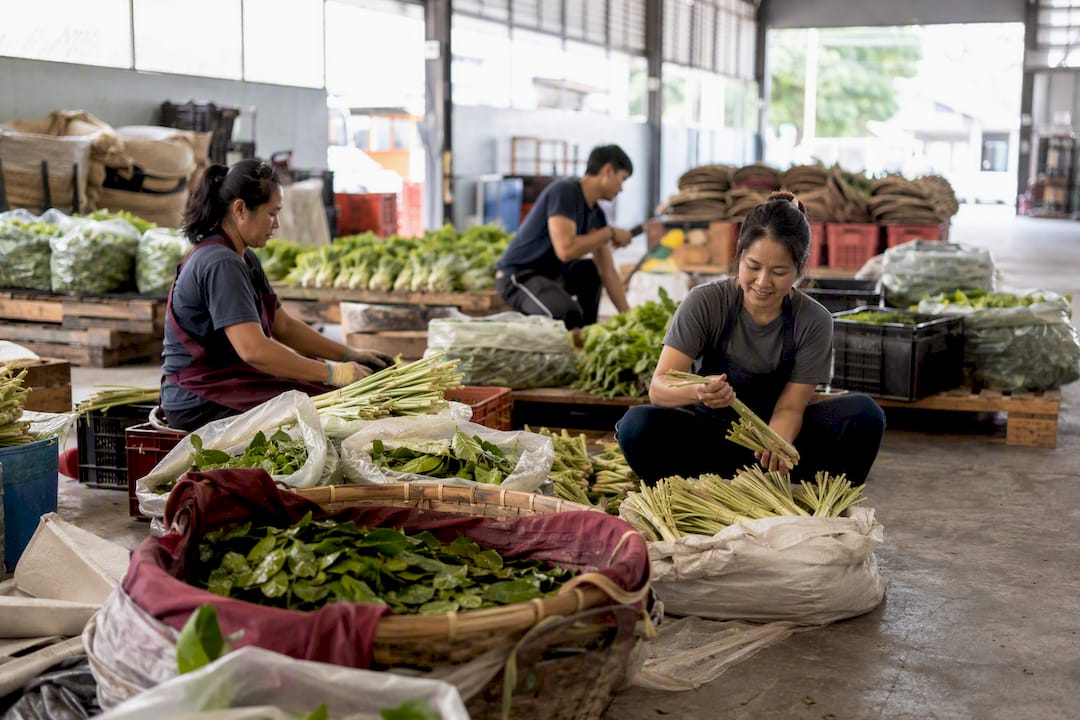 Warehouse sorting fresh Asian ingredients