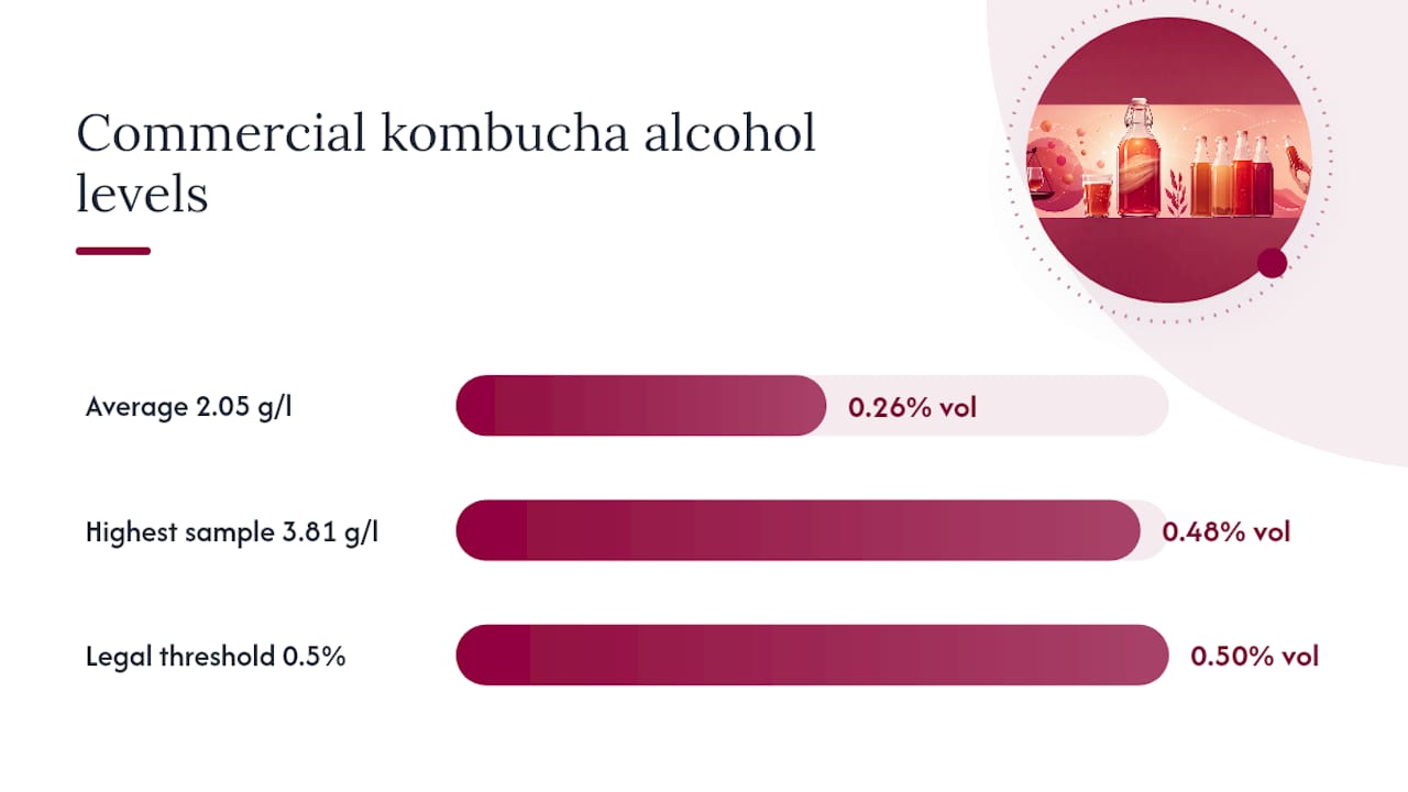 Diagram showing kombucha alcohol content ranges