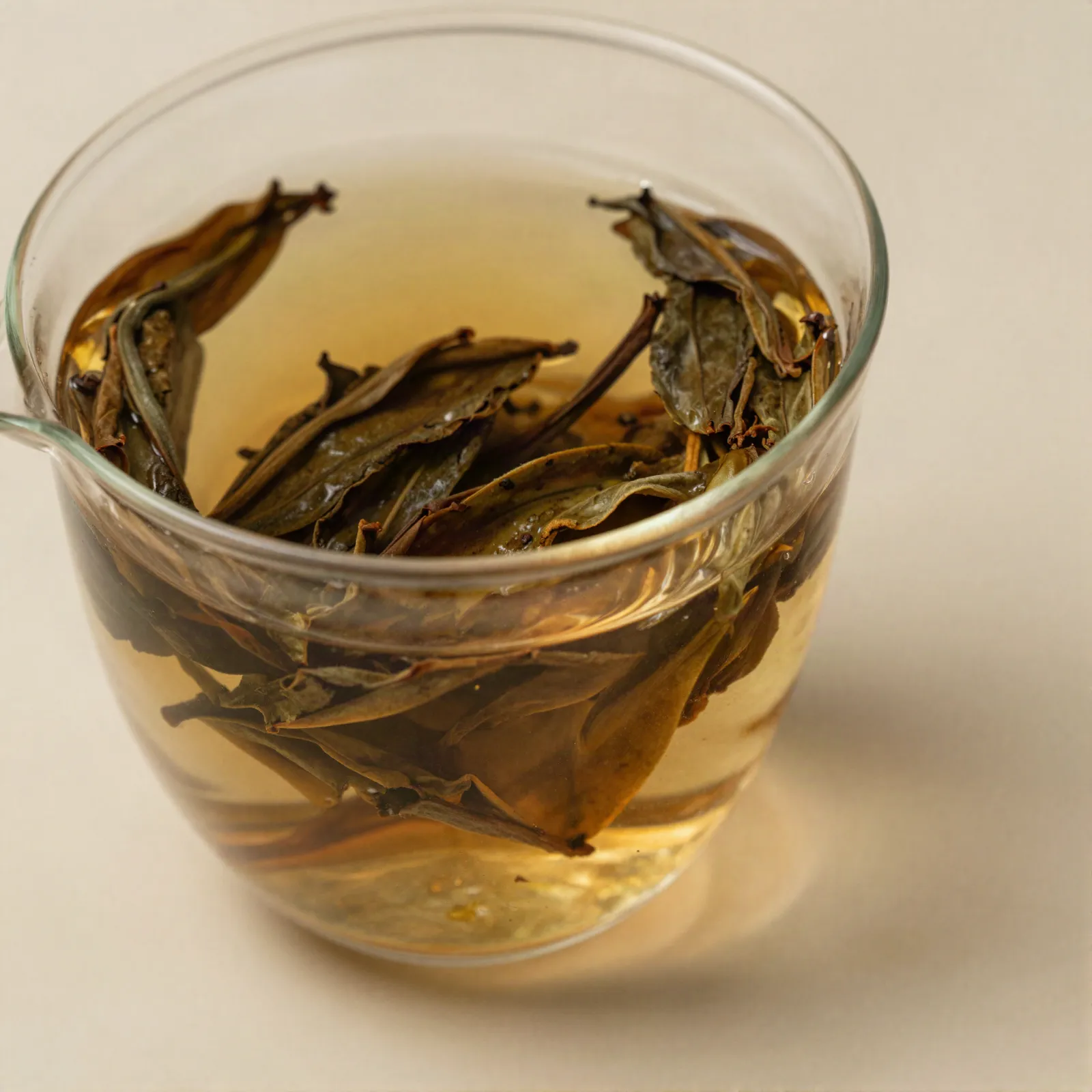 Oolong tea steeping for kombucha